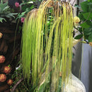 Artificial Plastic Grass Leaves Simulation Fake Plants Wall Hanging Home Decoration Plantas Artificiales Home Accessories