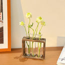 Plant Test Tube Hydroponic Vase Water-grown Flower Arrangement Plant Container Simple Wooden Frame Decors Creative Glass Vases