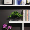 Artificial Plant Greenery Fake Bonsai Tree Indoor Bookshelf Desk Bathroom Farmhouse Decor Home Room Office Decoration Fake Plant