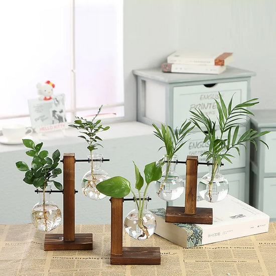 Terrarium Hydroponic Plant Vases Vintage Flower Pot Transparent Vase Wooden Frame Glass Tabletop Plants Home Decoration