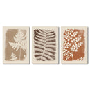 Wall Art Decor Paintings Warm Tones Posters Home Creative Gifts 3pcs Neutral Minimalist Abstract Fern Boho