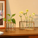 Plant Test Tube Hydroponic Vase Water-grown Flower Arrangement Plant Container Simple Wooden Frame Decors Creative Glass Vases