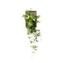 Artificial Plant Wall Art, Fake Flower Frame Hanging Decor for TV Background Wall, Living Room, Restaurant, Hotel Faux Greenery