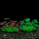 Artificial Underwater Plastic Plants Aquarium Fish Tank Aquatic Fake Shrub Green Weeds Water Grass Viewing Simulation Decoration