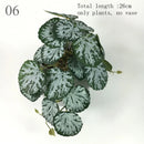 Artificial Terrarium Plants Vine Wall Hanging Flower Rattan Simulation Plastic Leaf Rattan Green Grass Home Balcony Garden Decor