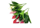 Artificial Green Plants Fake Anthurium  Potted Plants Desktop Ornaments Home Decoration Wedding Venue Decoration Fake Flowers