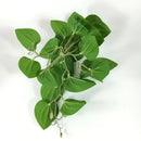 Artificial Terrarium Plants Vine Wall Hanging Flower Rattan Simulation Plastic Leaf Rattan Green Grass Home Balcony Garden Decor
