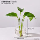 Plant Test Tube Hydroponic Vase Water-grown Flower Arrangement Plant Container Simple Wooden Frame Decors Creative Glass Vases
