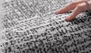 Modern Scandi Area Rug, Spill-Proof Easy Clean Carpet for Living Room and Bedroom, Plush Sofa Mat with Non-Slip Backing