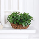 Artificial Plant | Fake Leaves with Stem, Ideal for Living Room, Hotel, Window, Office Decoration, Home and Room Decor