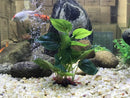 Artificial Aquarium Decor Plants Plastic Aquatic Plant with large green leaves Underwater Plants Fish tank aquatic plant adorn