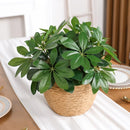 Artificial Plant | Fake Leaves with Stem, Ideal for Living Room, Hotel, Window, Office Decoration, Home and Room Decor